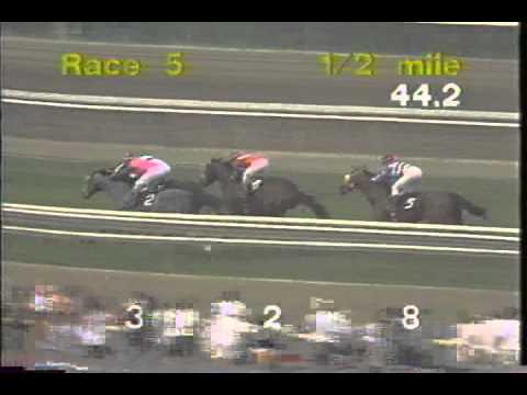 Oak Tree 1990 Col. F. W. Koester Handicap - Notorious Pleasure