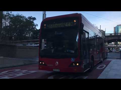 Sydney Transport Mini Vlog 2: Scania K310UA Custom Coaches CB60EVO2