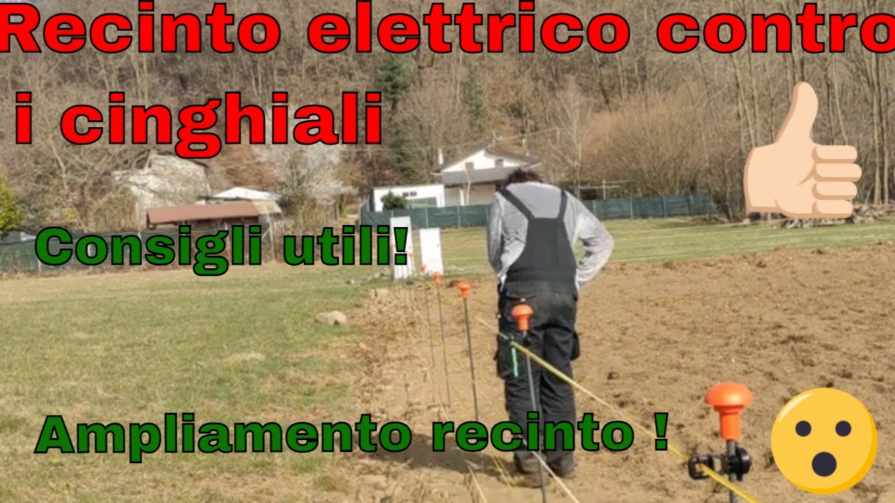 🚜🍆🍅Il recinto elettrico delle patate! - Ampliamento recinto elettrico