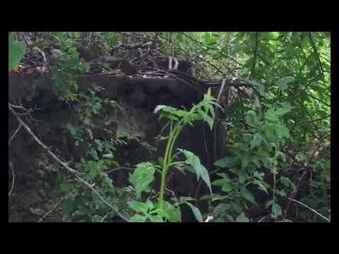 White’s Mill, Acushnet Ma.