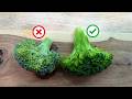 How To Cook Broccoli Properly Basic Cooking Tutorial Broccoli
