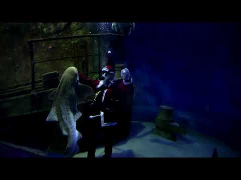 サンタは魚を養うために水槽に深く潜る (Santa dives deep into aquarium to feed fish)