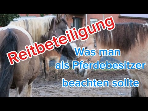 Reitbeteiligung - was man als Pferdebesitzer beachten sollte