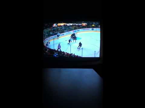 Anaheim Ducks vs Pittsburgh Penguins 11/18/2013