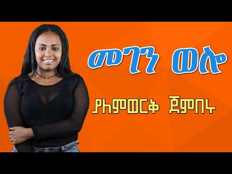 ያለምወርቅ ጀምበሩ መገን ወሎ - seifu on EBS