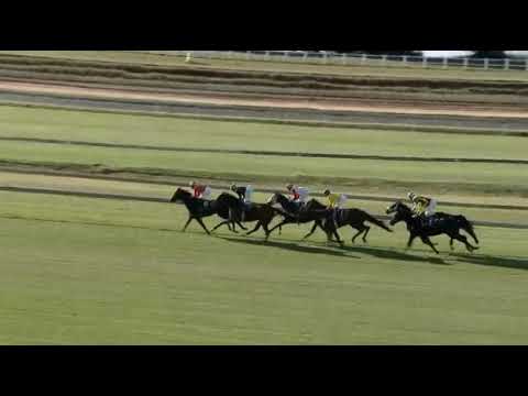 SUMMER PUDDING - 2021 Grade 2 Colorado King Stakes, Turffontein