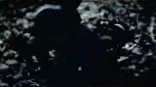 Nailpin - &quot;The Ending&quot; preview 2