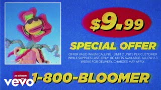 Download lagu Allison Ponthier - Late Bloomer mp3 Download lagu Allison Ponthier - Late Bloomer mp3