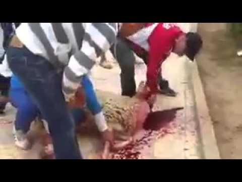 شاهد الفيديو