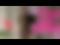 Natural Older Woman Over 50 Attractively Dressed Classy Natural Older Ladies Over 60 Fashion Tips3