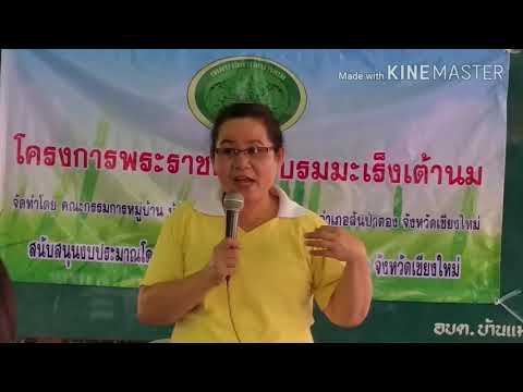 Phytoestrogens เพื่อเพิ่มความคิดเห็นหน้าอก สิ่งที่สวมใส่ที่มีหน้าอกขนาดเล็ก