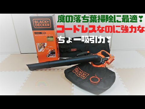 庭掃除に最適な道具は何ですか？リーフシュレッダーバキュームまたはリーフブロワー  庭園