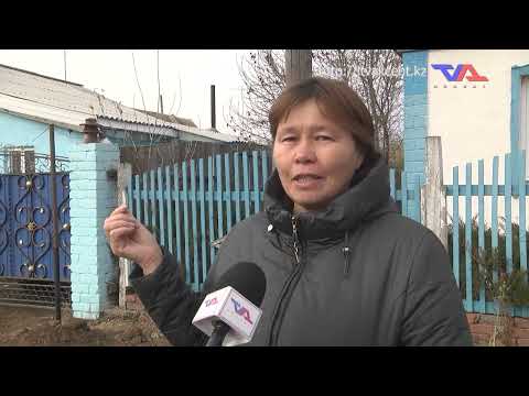 Выпуск программы “День” от 22 октября 2024г.