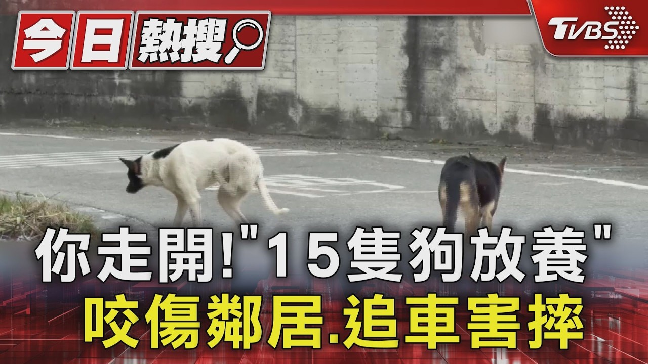 影音／妻車禍住院！8旬翁無力管15犬「放養釀禍」　路人遭追咬動保開罰