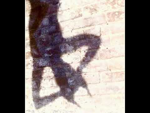 Kelis   Milkshake  Tom Exer   Dj ZAM Remix