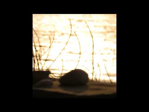 Saav - Don't Stare at the mirror