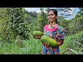 Soursop fruit recipe | Healthy Soursop juice | Salad recipe by Life in Village (English Subtitles)