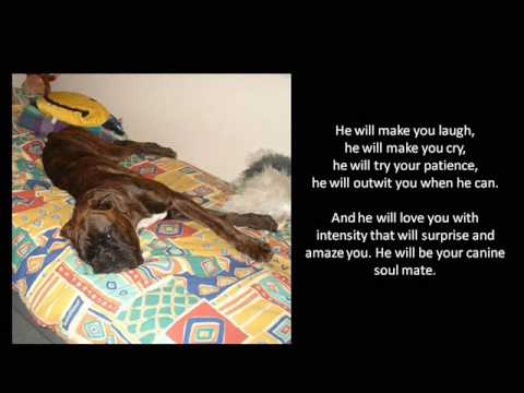 download lagu mp3 mp4 Hummer Quotes, download lagu Hummer Quotes gratis, unduh video klip Hummer Quotes