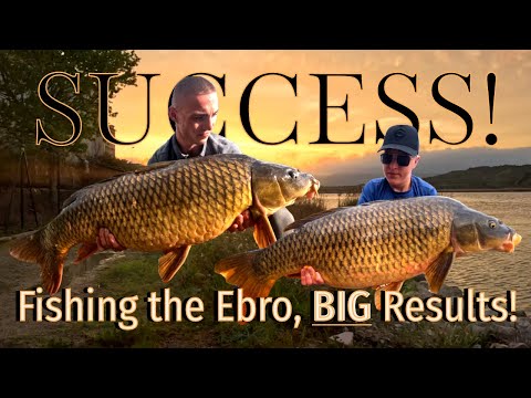 SUCCESS on the Ebro! MONSTER Carp to 40lbs+ | Incredible Fishing Week in Spain