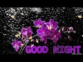 Good Night Good Night Status Good Night Photo Good Night Video Good Night Wallpaper