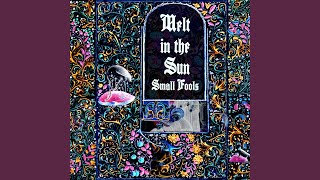 Cover art for melt in the sun