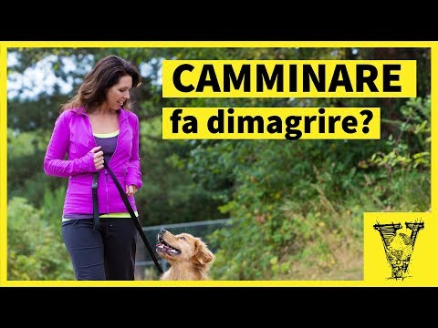 Camminare/ pregi e difetti sul dimagrimento