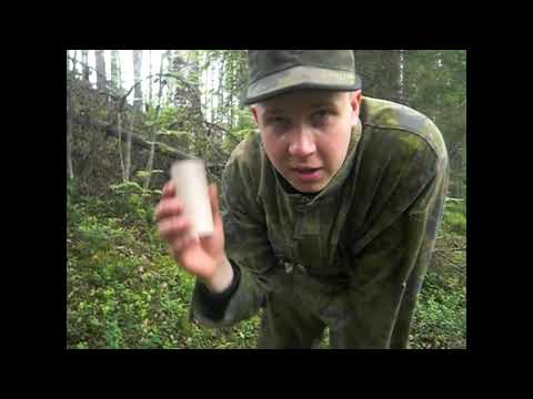 Petemies Intissä - Paskapuhetta metsässä