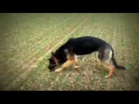 YKAR Vikar - training tracking