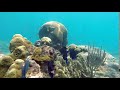 මුහුදු පතුල Seabed