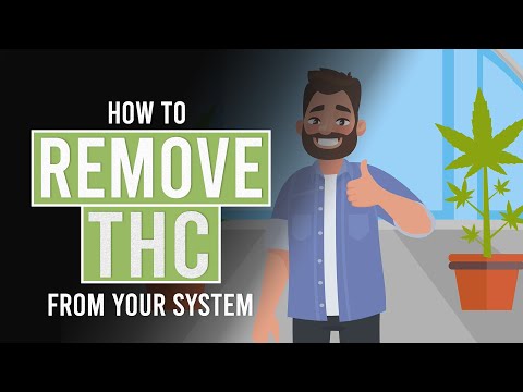 , title : 'How to Remove THC From Your System!'
