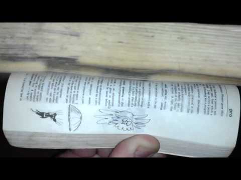 Primary school leaving gift