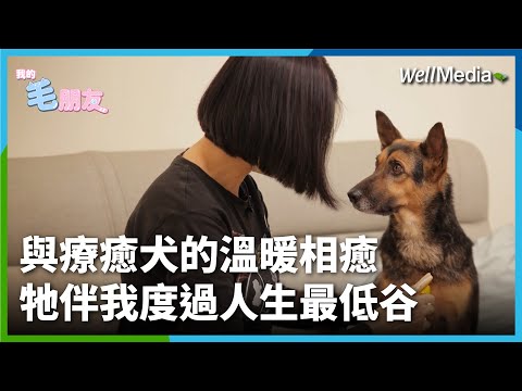 與療癒犬的相癒！狗狗的陪伴撫慰 度過人生低谷！療癒犬諮商所的大小事【我的毛朋友】EP2