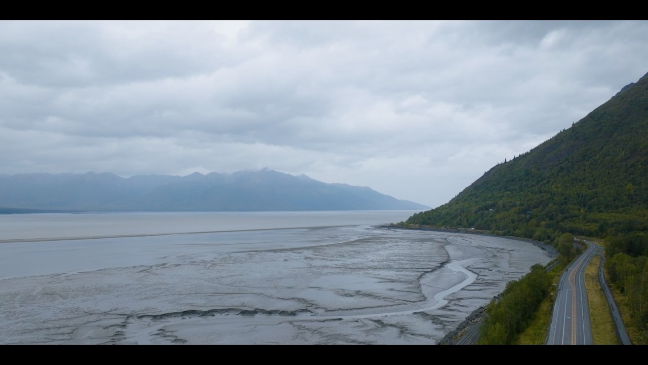 How a strong MMPA protects belugas and supports coastal communities