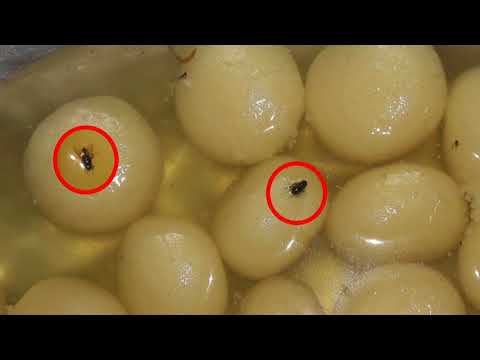 উন্নয়ন মেলা 2017