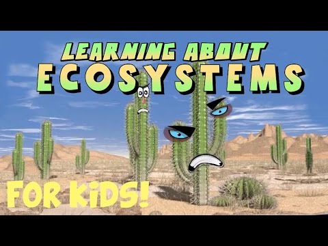 Learning About Ecosystems