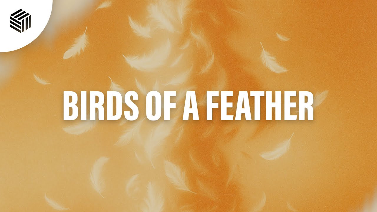 Jared Mueller & Poylow - Birds Of A Feather