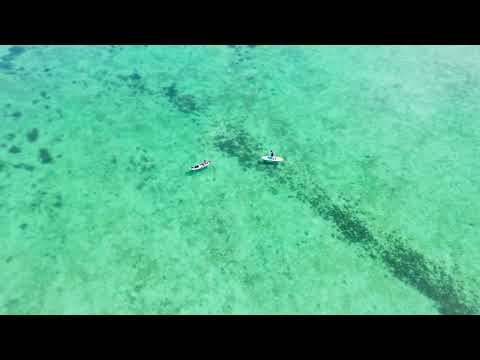 動画5