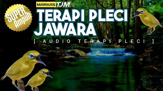 Download lagu 🔴 LIVE Terapi Pleci jawara Audio Untuk Menggacorkan Pleci mp3 Download lagu 🔴 LIVE Terapi Pleci jawara Audio Untuk Menggacorkan Pleci mp3