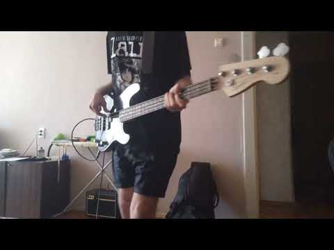 Primus - Wynona's Big Brown Beaver (Bass Cover)