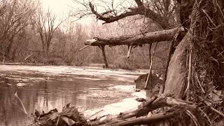 Music video thumbnail preview for A World Humanity Has Abandoned by Robes of Snow