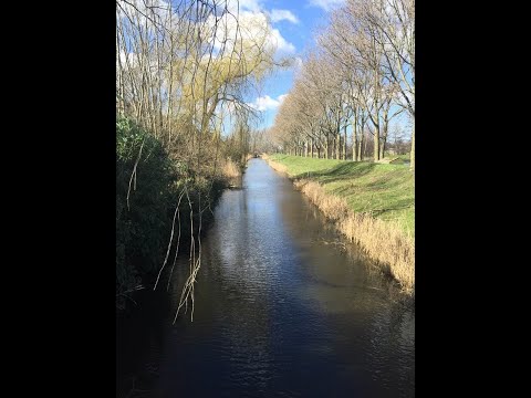 Drummie Ank - Spring Mix, Melodies & Soundscapes, march 20  2021