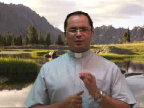 Evangelho do dia 27 de novembro de 2009. [Lucas 21,29-33]