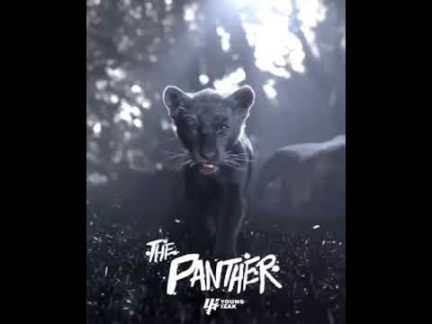 Young Izak - Dončić 77