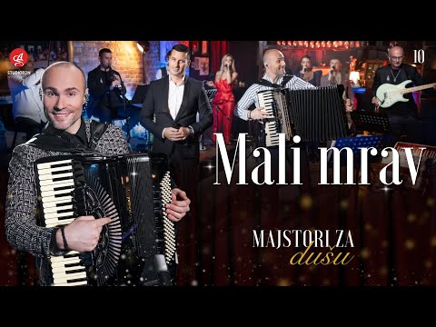 ORKESTAR ALEKSANDRA SOFRONIJEVICA - MALI MRAV (Live) [OFFICIAL VIDEO]