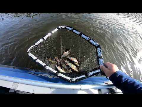 SYKSYINEN AHVENEN KALASTUS MERELLÄ | LÖYDETÄÄN KALAT VIISTOKAIKULUOTAIMELLA |