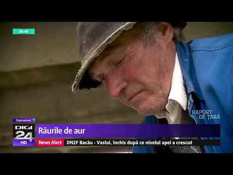 Paragină pe tărâmul aurului. Cum arată astăzi cea mai bogată mină de aur din Hunedoara