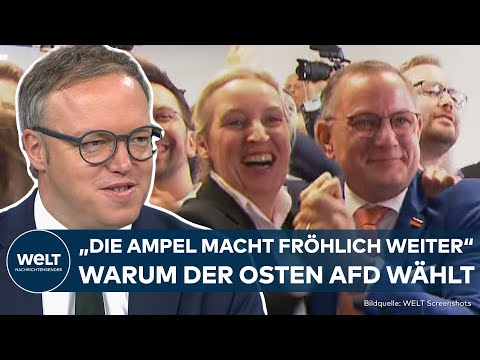 EUROPAWAHL 2024: "Massiv frustriert"! "Die Ampel macht fröhlich weiter" – Warum der Osten Afd wählt