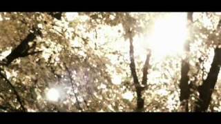 Trailer 399 Năm Thất Tình