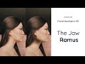 Why Your Jawline Never Looks Sharp Facial Aesthetics 101 The Jaw Ramus