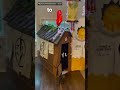 Woman Creates Amazing Cardboard Fort!